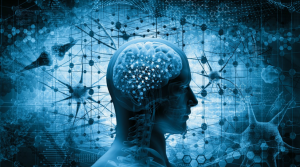 NÖROLOJİK VAKALARIN TOPLUMSAL YAŞAMLA İLİŞKİSİ