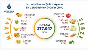 EN ÇOK TERCİH EDİLEN DOMATES VE PORTAKAL