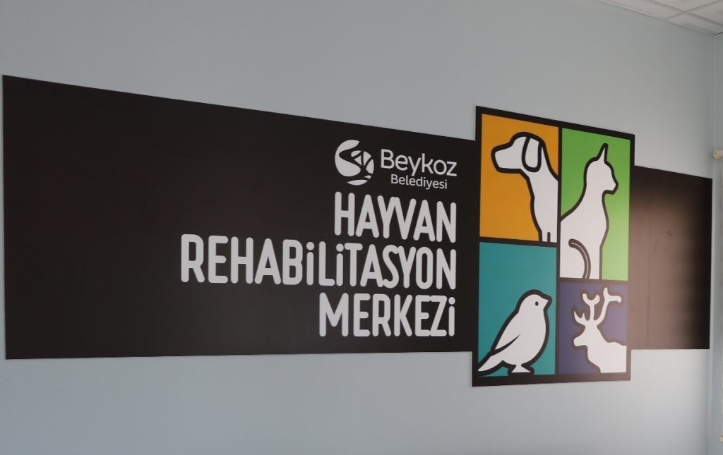 PATİLİ DOSTLARLA BULUŞMA MERKEZİ