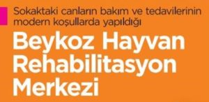 ÇALIŞMALARIYLA ÖVGÜYÜ HAK EDİYOR