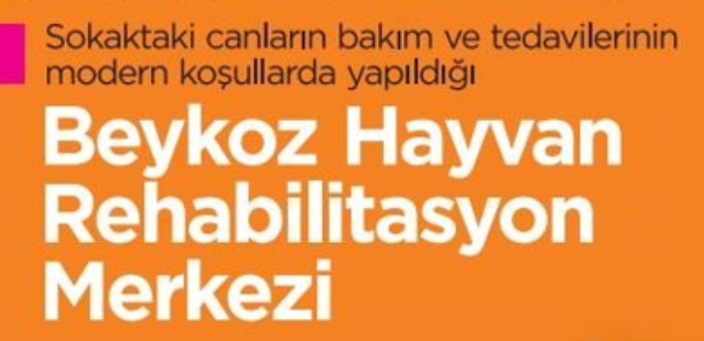 ÇALIŞMALARIYLA ÖVGÜYÜ HAK EDİYOR