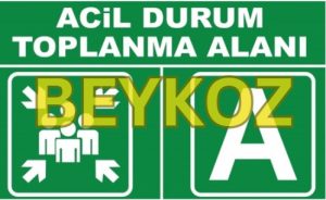 BEYKOZ TOPLANMA ALANLARI