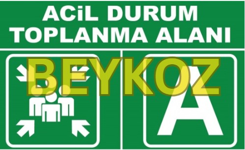 BEYKOZ TOPLANMA ALANLARI