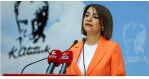 Gamze Taşcıer: “Biz Normaliz, Anormal Olan Sizin Sapkın Zihinleriniz!”