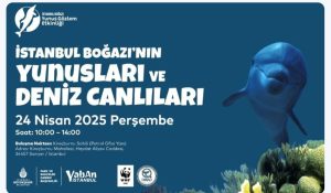 YUNUS GÖZLEM ETKİNLİKLERİ BAŞLIYOR